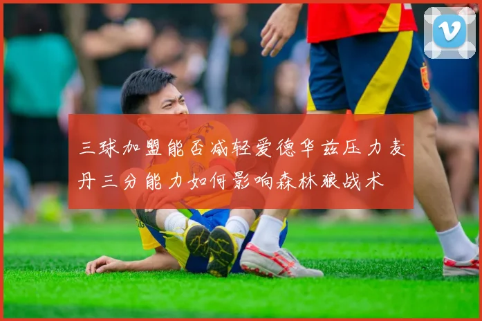 三球加盟能否减轻爱德华兹压力麦丹三分能力如何影响森林狼战术