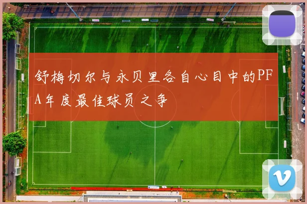 舒梅切尔与永贝里各自心目中的PFA年度最佳球员之争