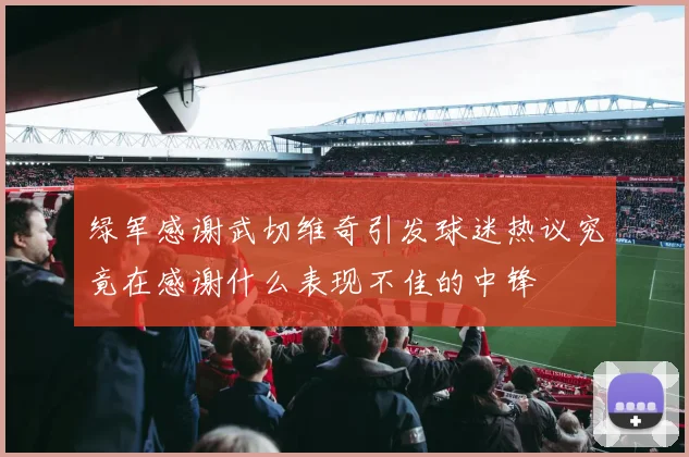 绿军感谢武切维奇引发球迷热议究竟在感谢什么表现不佳的中锋