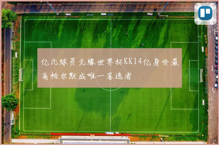 亿元球员无缘世界杯KK14亿身价最高帕尔默成唯一落选者